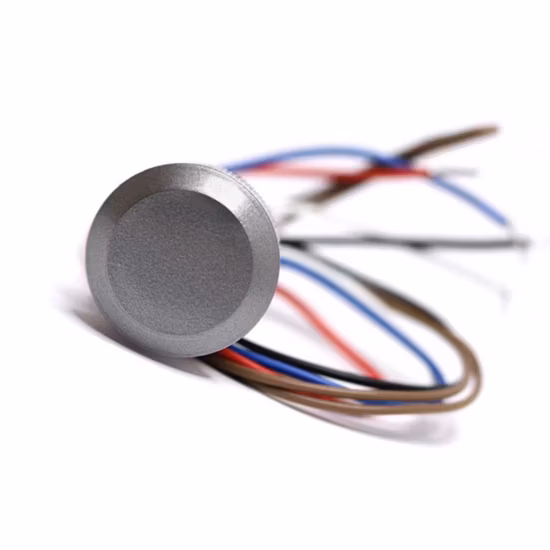 Lector de tarjetas de identificación al aire libre impermeable IP67 Wg26/34 125kHz Em Card Mini RFID Lf
